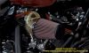 DRAGON-CLEAR-KN-AIR-FILTER-117-121-135-CVO-HARLEY